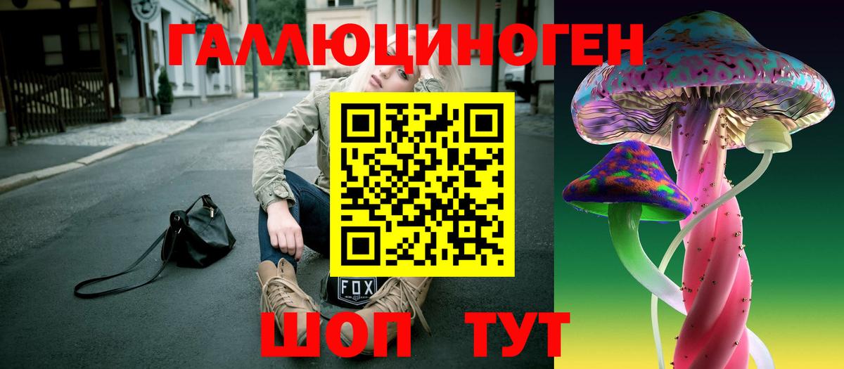 Псилоцибиновые грибы мицелий Ухта